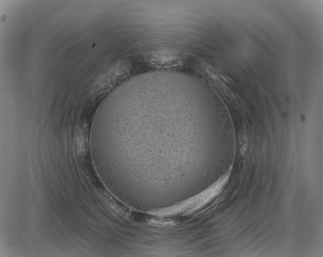 X0000085040515200703121437