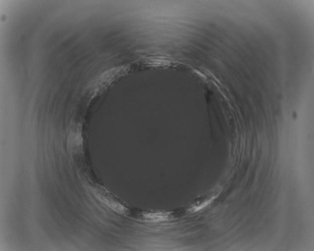 X0000085040516200703121437