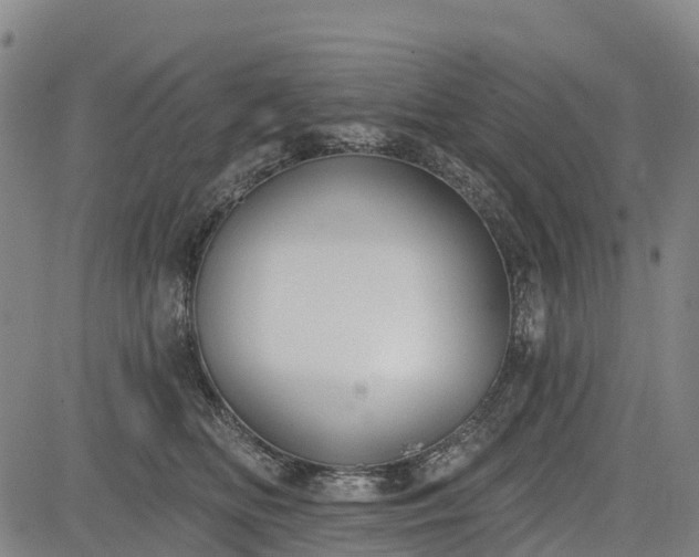 X0000085040518200703121437