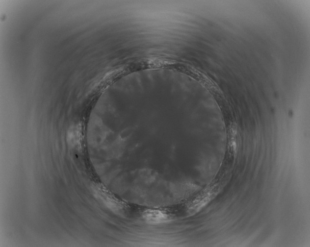 X0000085040519200703121437