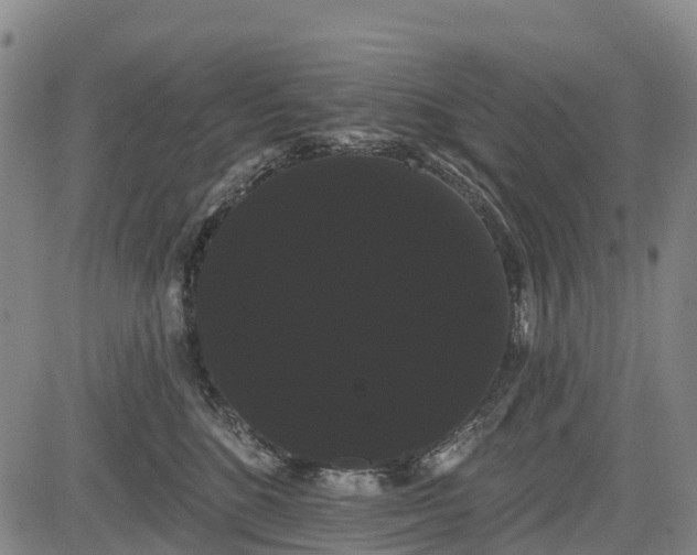 X0000085040520200703121437