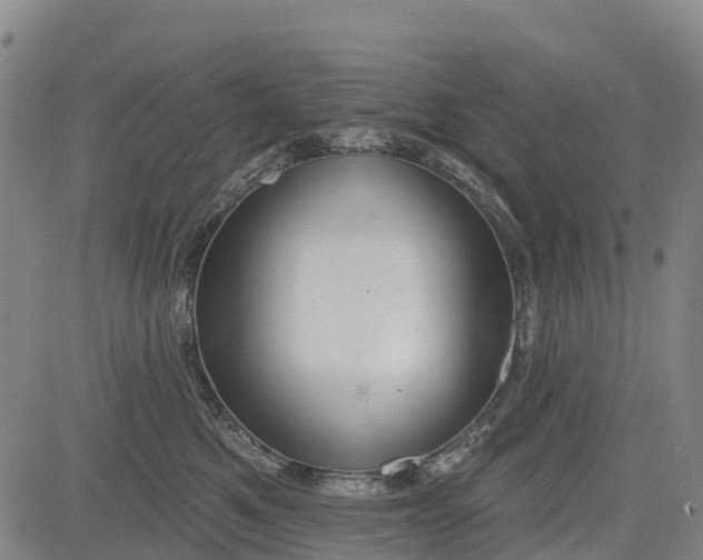 X0000085040521200703121437