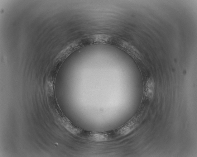 X0000085040522200703121437