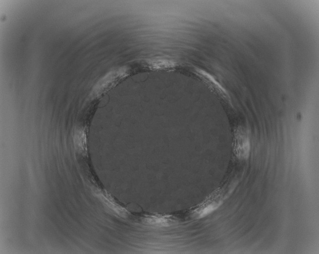 X0000085040523200703121437