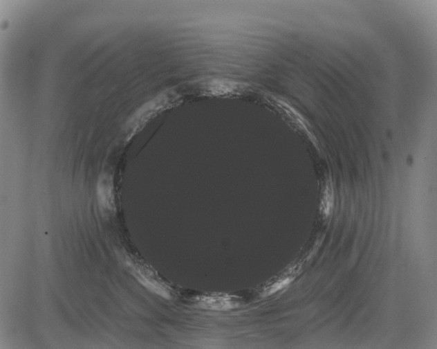 X0000085040524200703121437