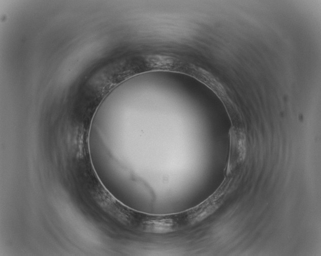 X0000085040525200703121437