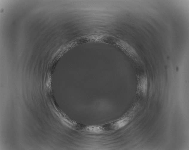 X0000085040526200703121437