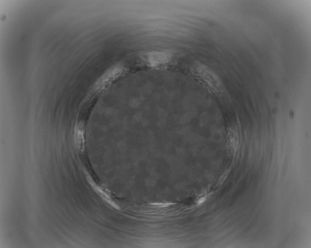 X0000085040527200703121437