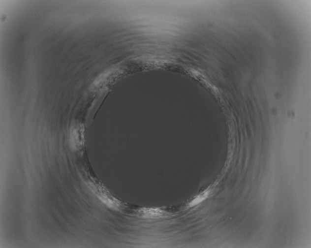 X0000085040528200703121436