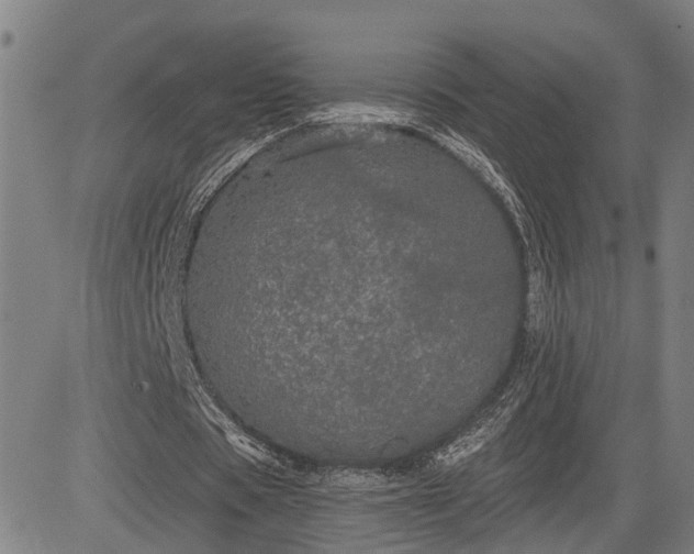 X0000085040529200703121436