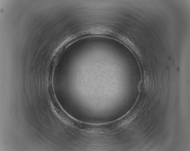 X0000085040530200703121436