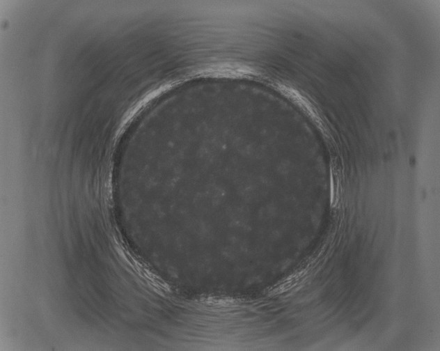 X0000085040531200703121436