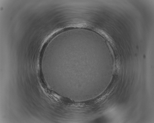 X0000085040532200703121436