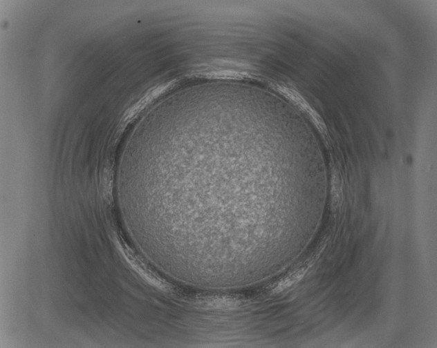 X0000085040533200703121436