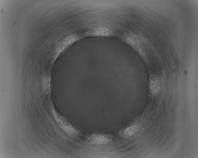 X0000085040534200703121436