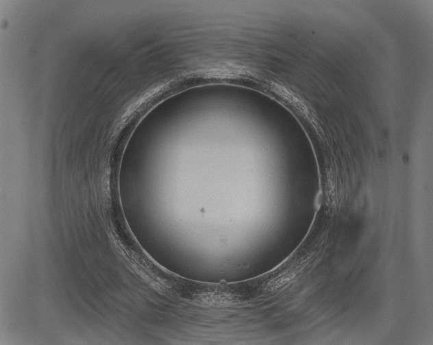 X0000085040535200703121436