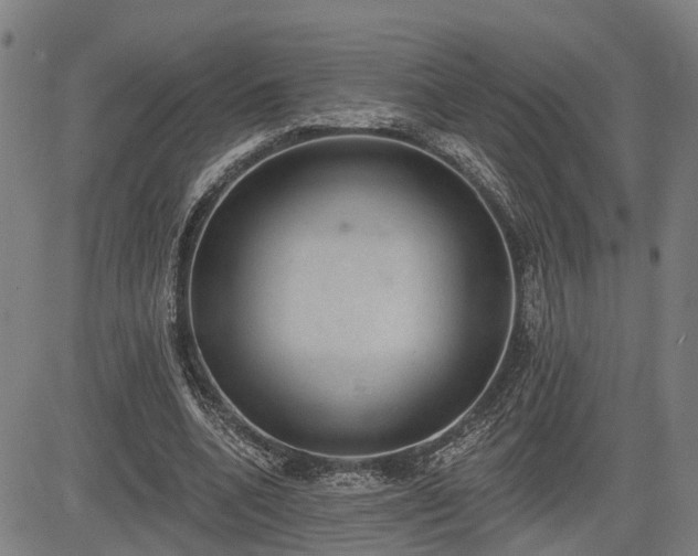 X0000085040536200703121436