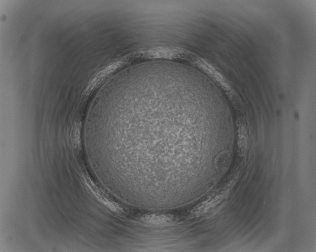 X0000085040537200703121436