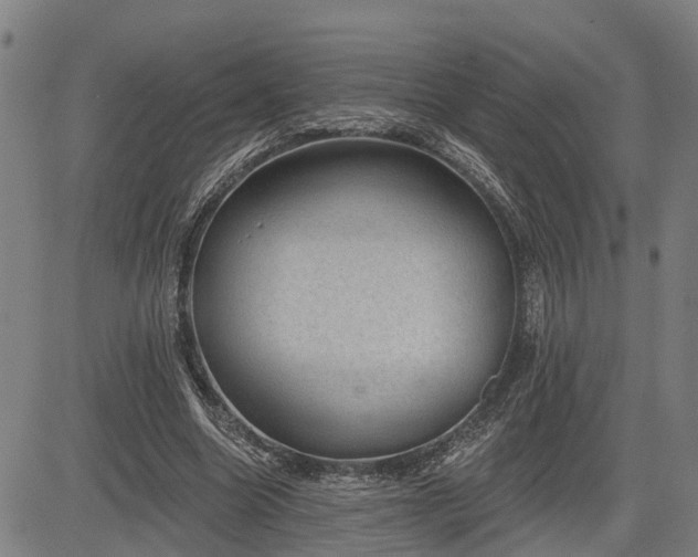 X0000085040538200703121436