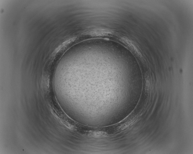 X0000085040539200703121436