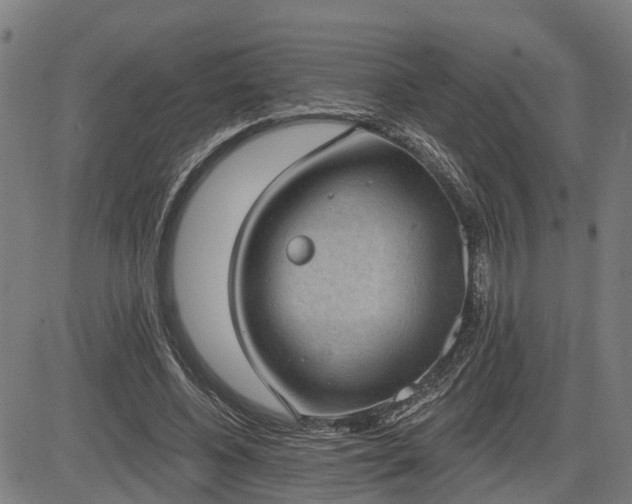 X0000085040540200703121436