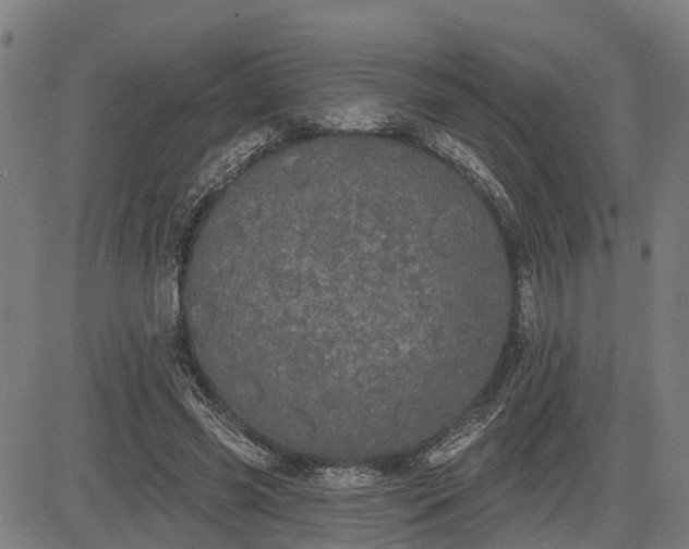 X0000085040541200703121436