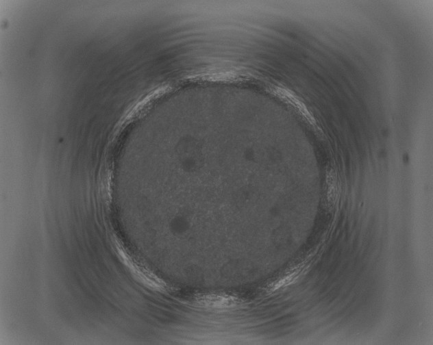 X0000085040542200703121436