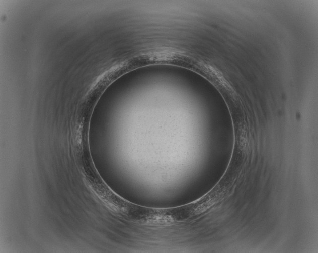 X0000085040543200703121436