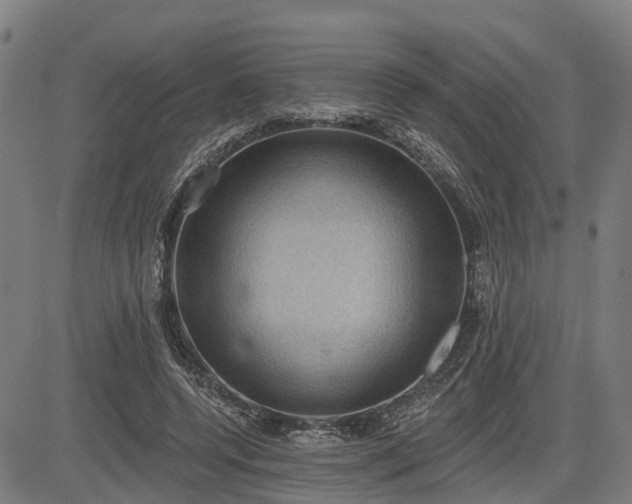 X0000085040544200703121436