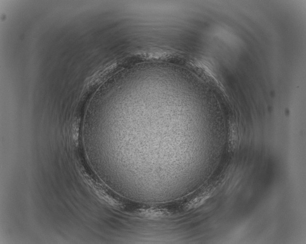 X0000085040545200703121436