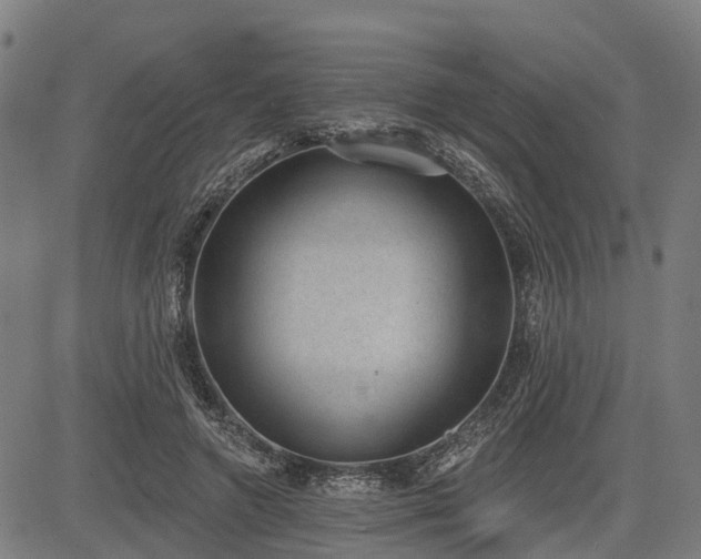 X0000085040546200703121436