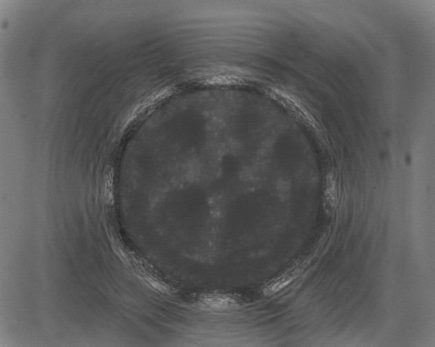 X0000085040547200703121436