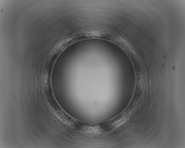 X0000085040548200703121436