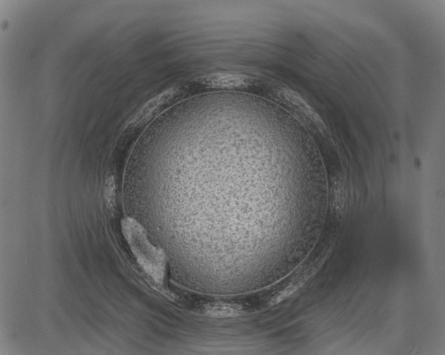 X0000085040549200703121436