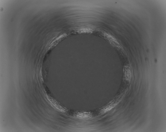 X0000085040550200703121436