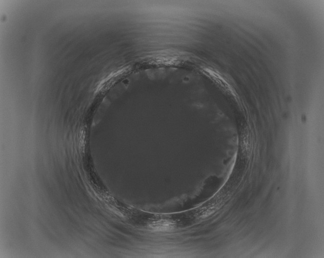 X0000085040551200703121436