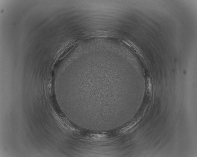 X0000085040552200703121436