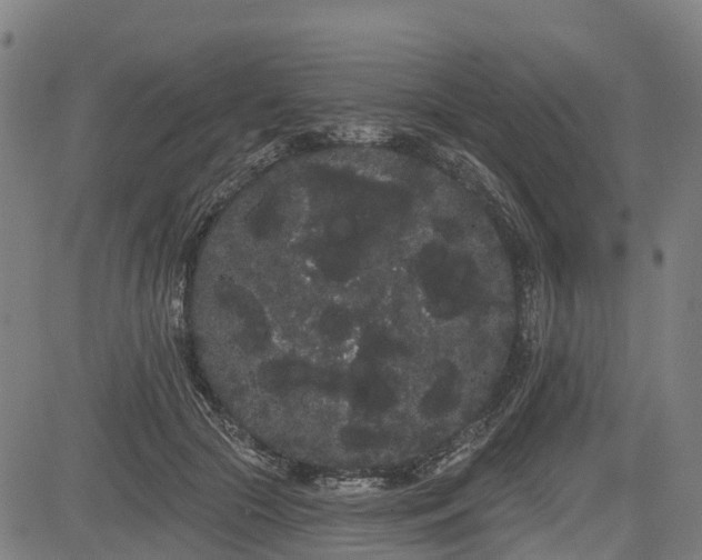 X0000085040553200703121436