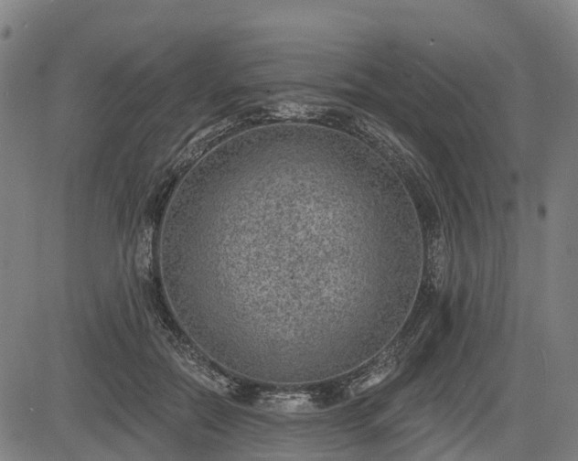 X0000085040554200703121436