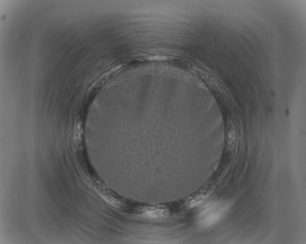 X0000085040555200703121436