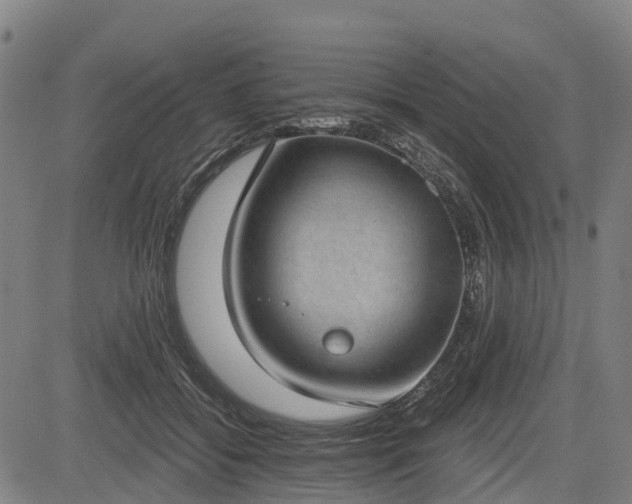 X0000085040556200703121436