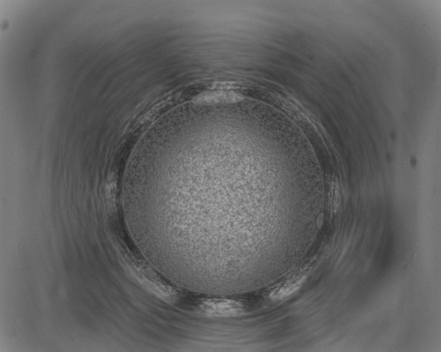 X0000085040557200703121436