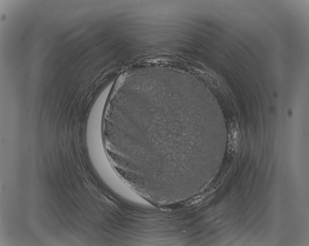 X0000085040558200703121436