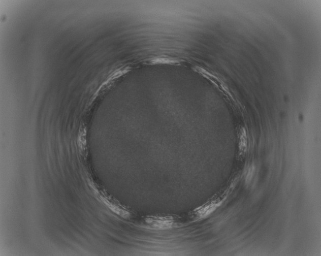 X0000085040559200703121436