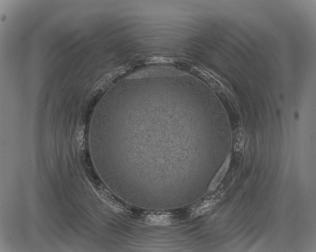 X0000085040560200703121436