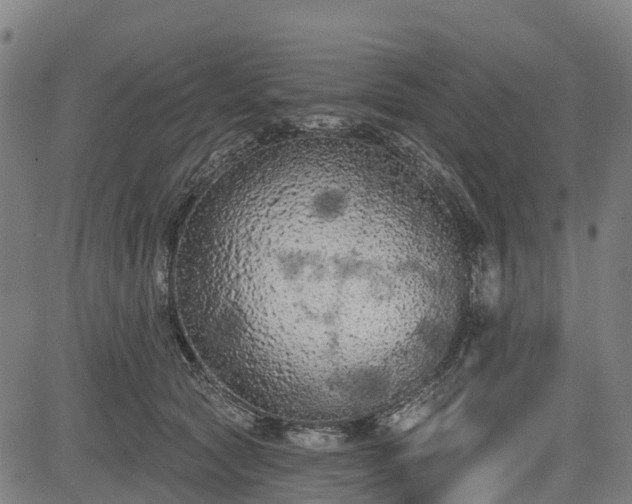 X0000085040561200703121436