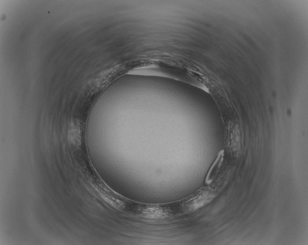 X0000085040562200703121436