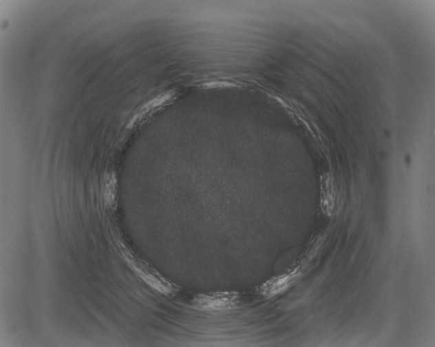 X0000085040563200703121436