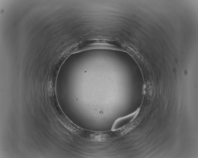 X0000085040564200703121436