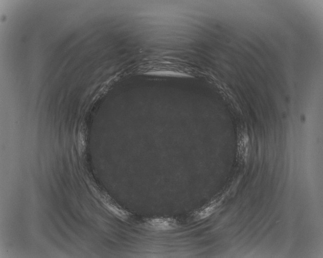 X0000085040566200703121436